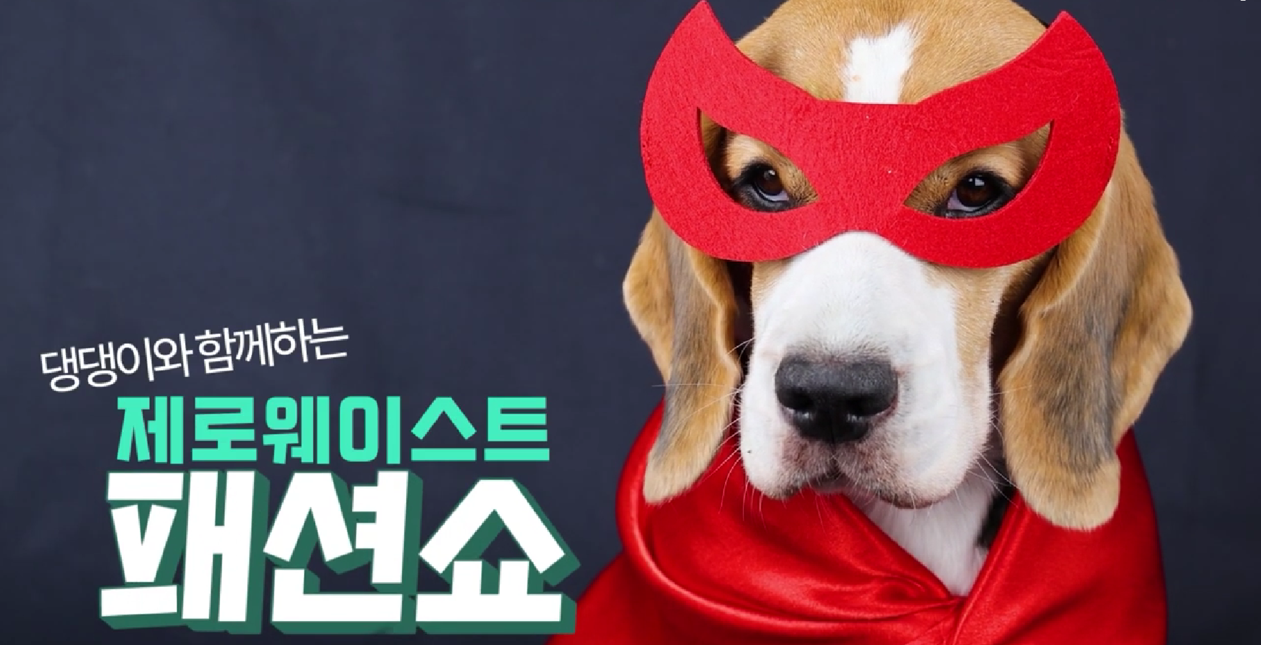 메인 배너