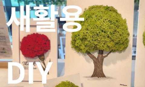 [영상] 새활용 DIY