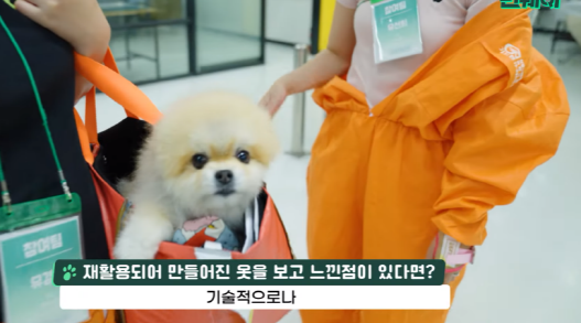 슬라이드 이미지 6